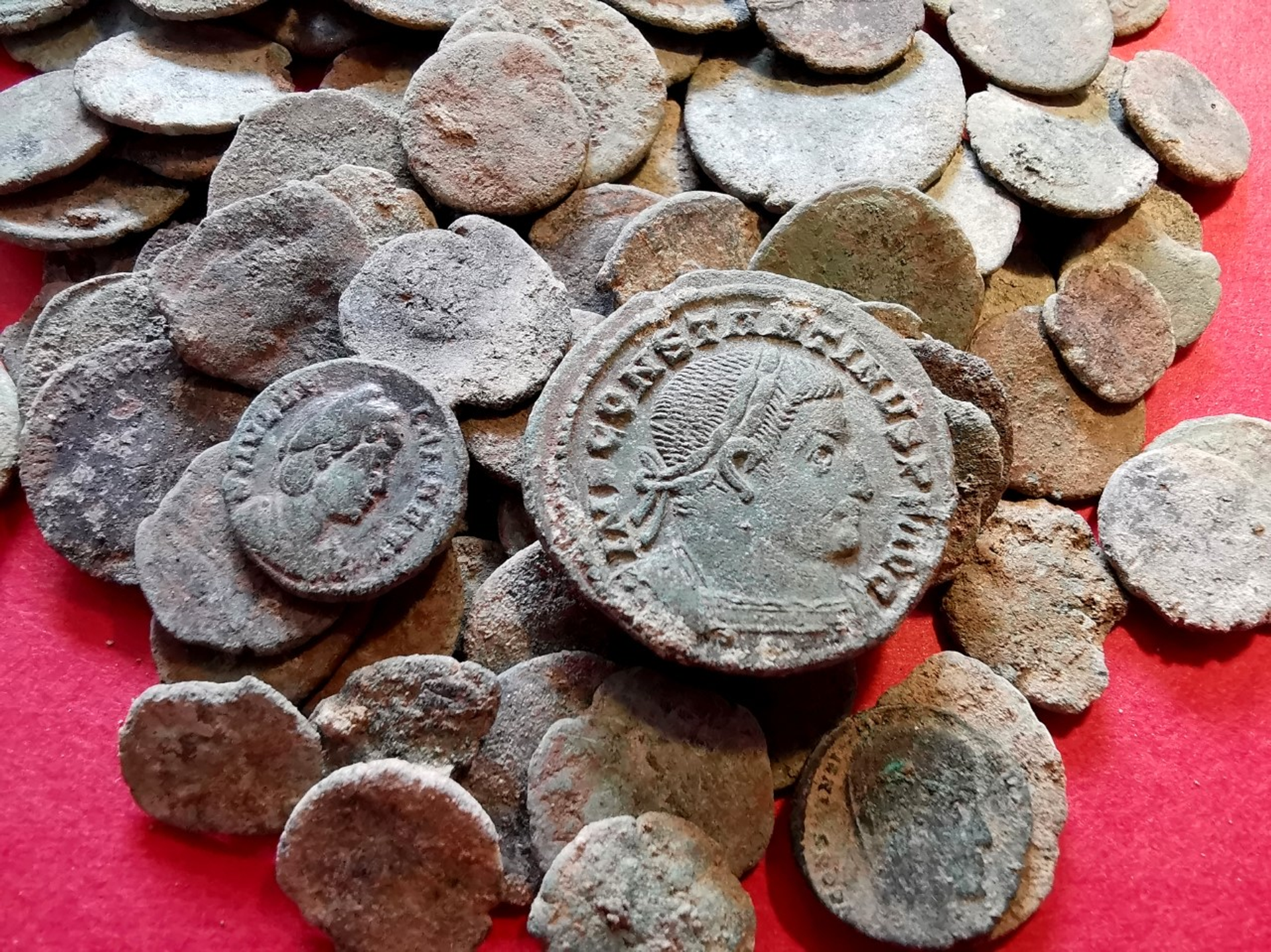 Moedas romanas encontradas no norte da Espanha após dica de texugo - Sputnik Brasil, 1920, 10.01.2022