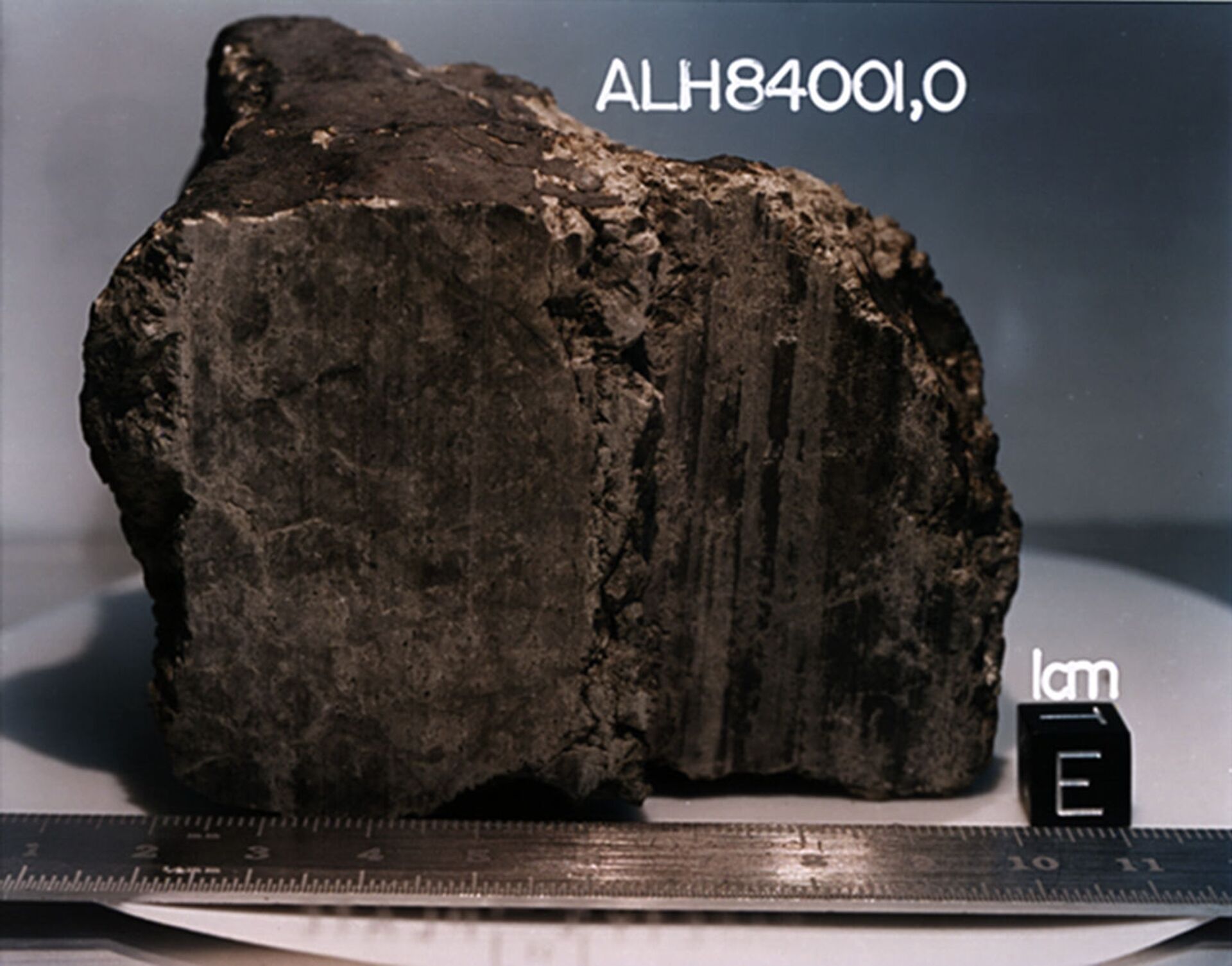 Compostos de carbono de Marte encontrados dentro de meteorito (9 cm), ALH84001 - Sputnik Brasil, 1920, 14.01.2022