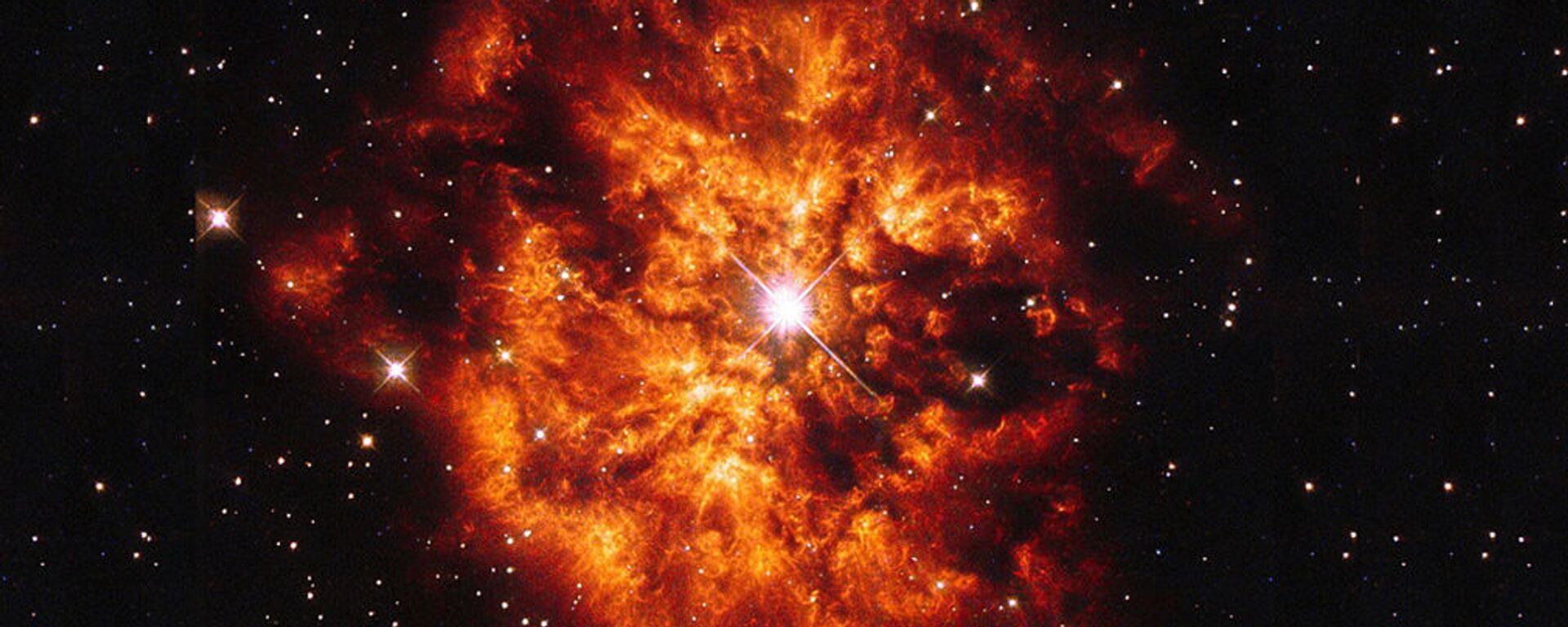 A nebulosa M1-67 em torno da brilhante estrela Wolf-Rayet WR 124 - Sputnik Brasil, 1920, 20.01.2022