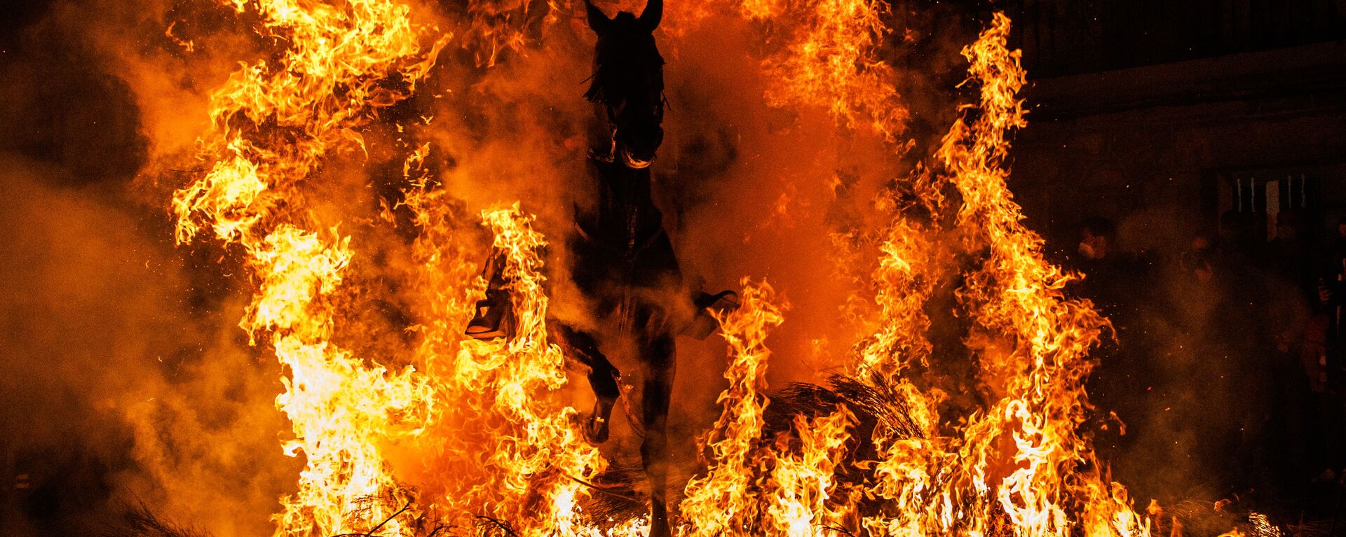 Cavaleiro saltando por cima de uma fogueira durante o festival Las Luminarias, na Espanha  
 - Sputnik Brasil, 1920, 26.01.2022