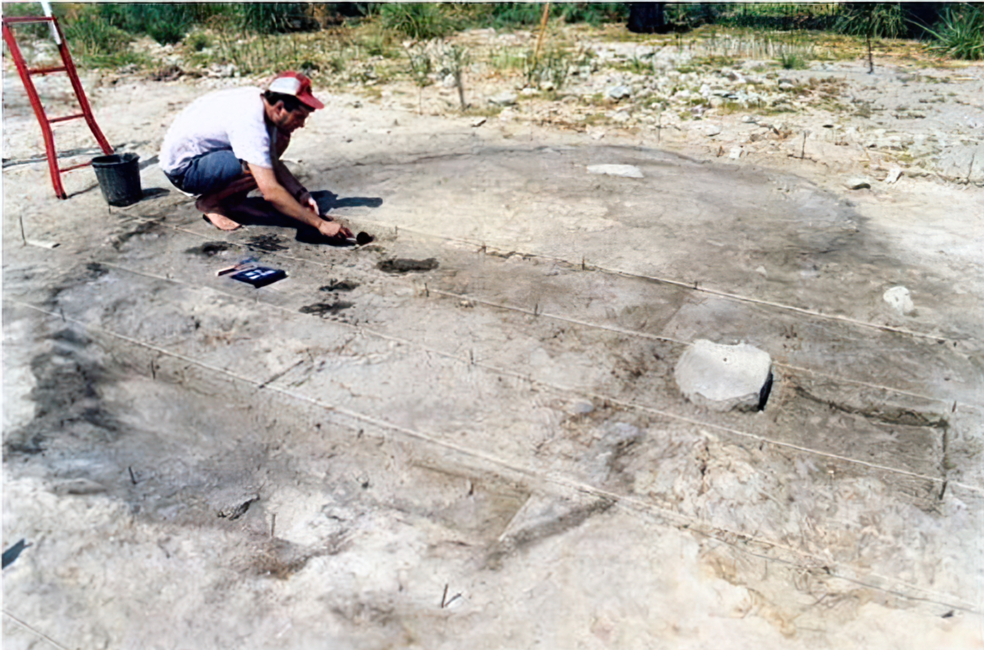 Cabana de arbustos em formato oval encontrada no sítio arqueológico de Ohalo II - Sputnik Brasil, 1920, 27.01.2022