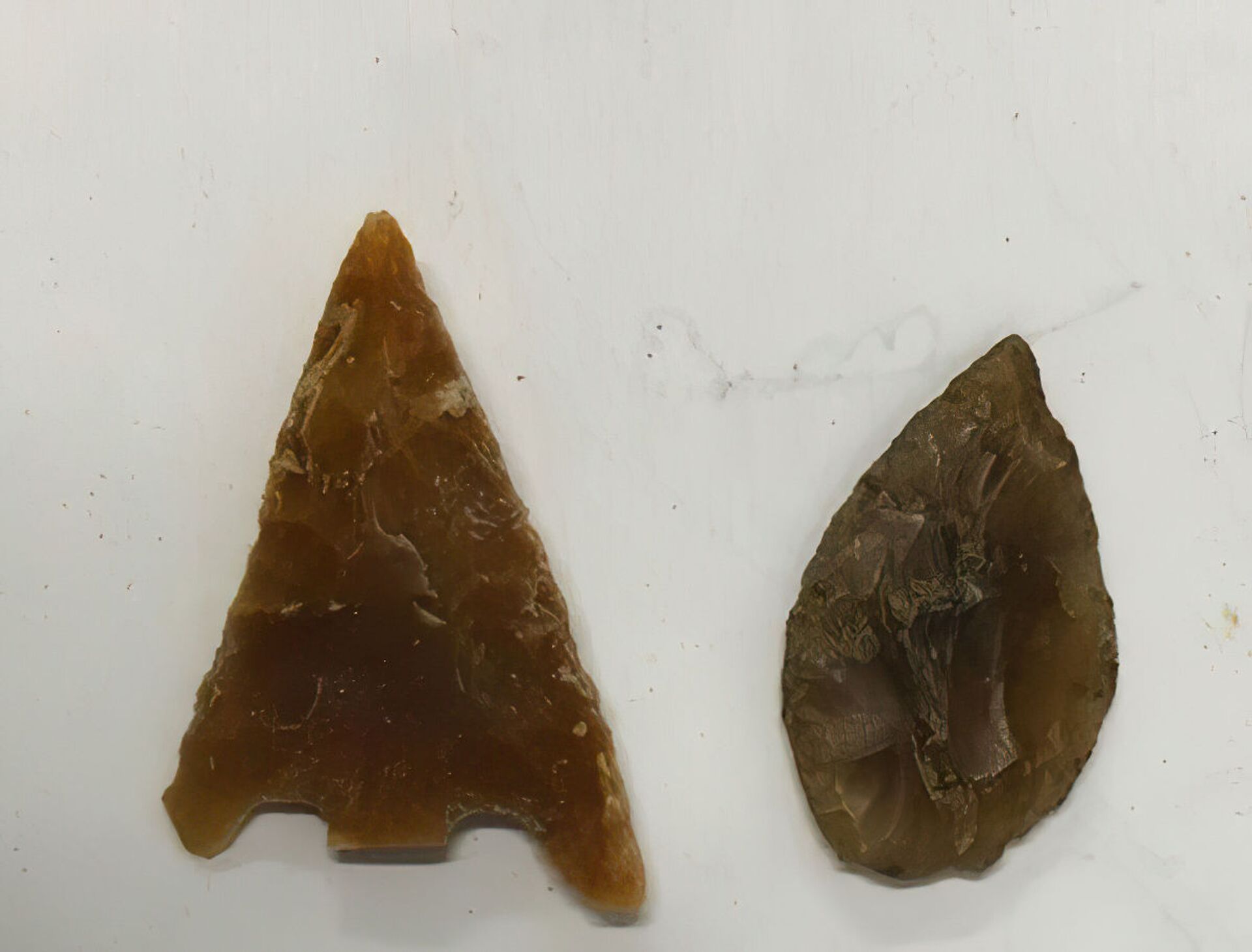 Pontas de flechas de sílex descobertas durante escavações perto de Tempsford remontam ao Neolítico e à Idade do Bronze 
 - Sputnik Brasil, 1920, 29.01.2022