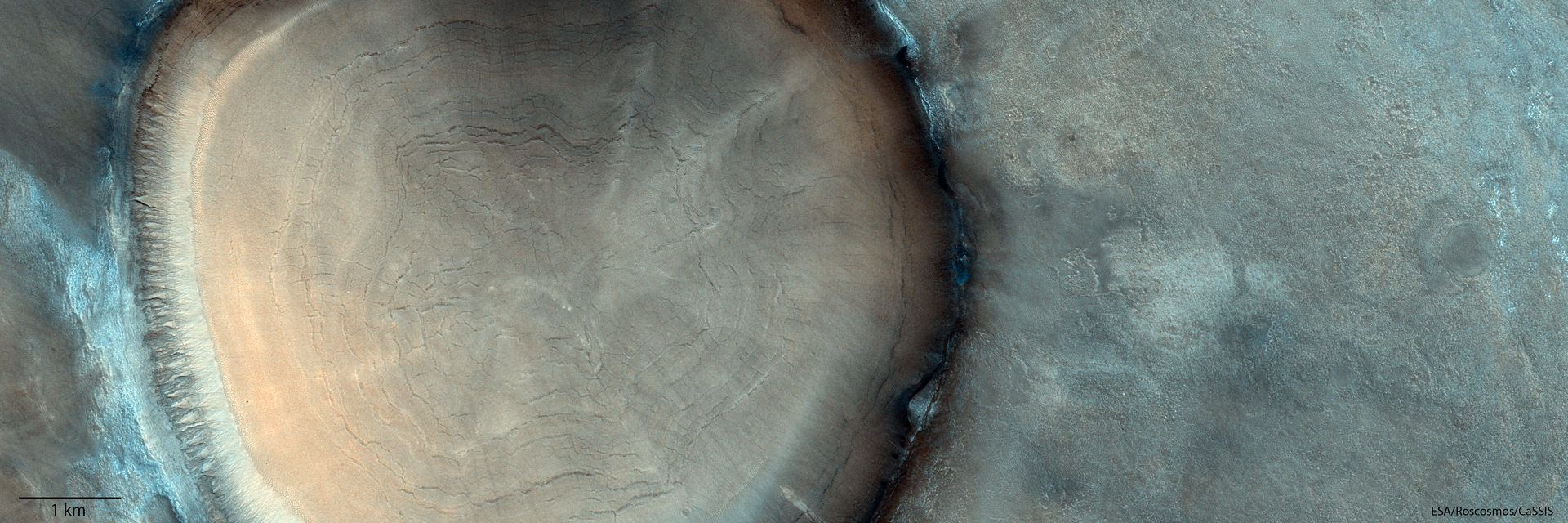 Cratera de Marte parecida com tronco de árvore, foto divulgada em 28 de janeiro de 2022 - Sputnik Brasil, 1920, 31.01.2022