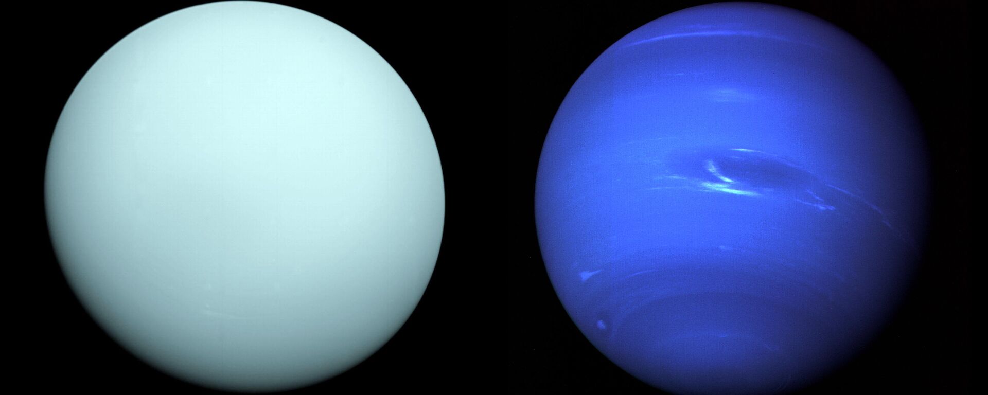 Chegando a Urano (à esquerda) em 1986, a Voyager 2 observou um orbe azulado com características sutis. Uma camada de neblina escondeu a maioria das características das nuvens do planeta. A imagem de Netuno (à direita) produzida pela Voyager 2 mostra a Grande Mancha Escura acompanhada pela mancha brilhante - Sputnik Brasil, 1920, 02.02.2022