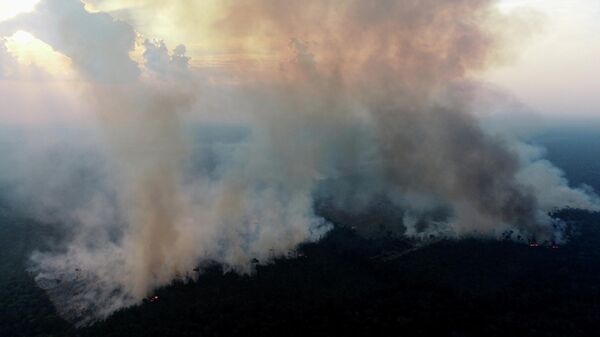 Fumaça sobe após incêndio em uma área da Floresta Amazônica, desmatada por madeireiros e agricultores próximo a Porto Velho, em Rondônia, no Brasil, em 16 de agosto de 2020 - Sputnik Brasil