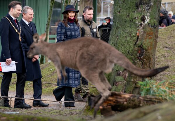 Princesa Maria da Dinamarca e seus filhos visitam zoológico de Copenhague. - Sputnik Brasil