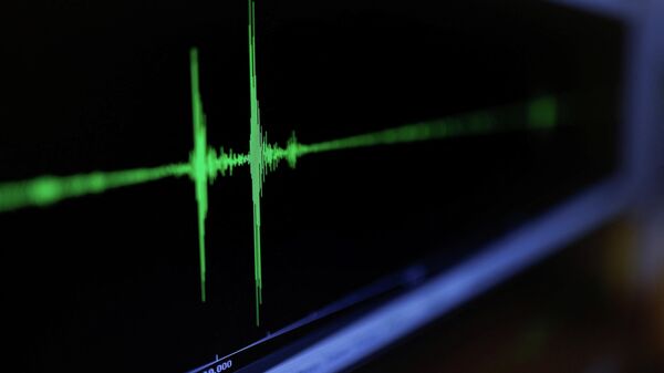 Ondas sísmicas em uma tela demonstrando novo sistema de aviso de tsunamis no Serviço Geológico de Israel em Jerusalém, 7 de fevereiro de 2022 - Sputnik Brasil