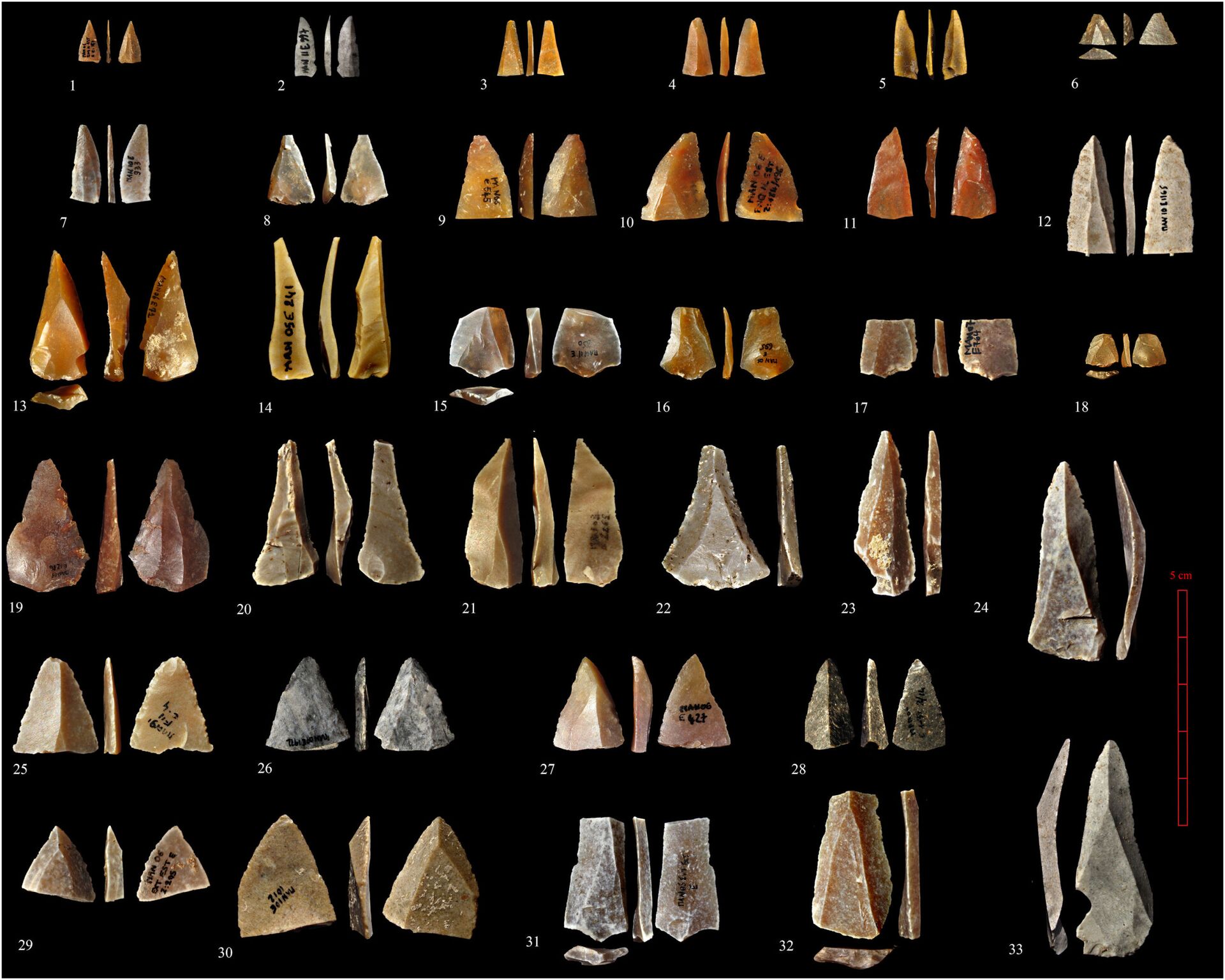 Pontas feitas de pedra encontradas pelos pesquisadores na caverna francesa Mandrin Grotto - Sputnik Brasil, 1920, 10.02.2022