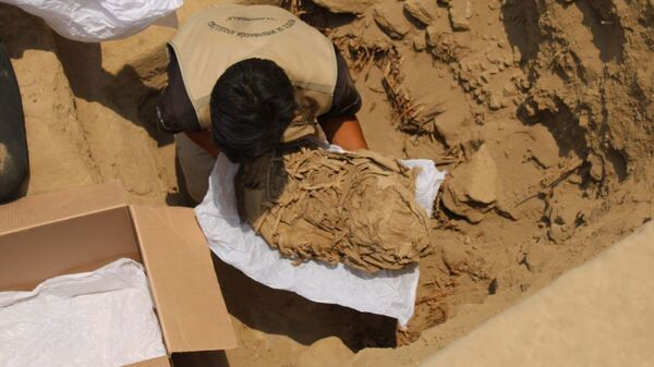 Momento em que é extraído um dos fardos que contém restos de uma criança, complexo arqueológico de Cajamarquilla, Lima - Sputnik Brasil