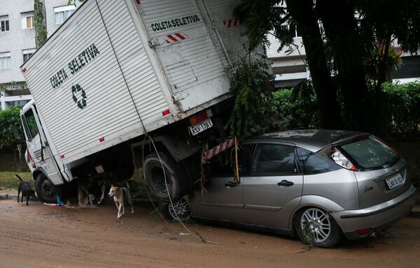 Cães passam por veículos danificados após chuvas torrenciais em Petrópolis, Brasil, 16 de fevereiro de 2022. - Sputnik Brasil