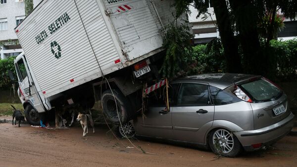 Собаки проходят мимо поврежденных автомобилей после проливных дождей в Петрополисе, Бразилия - Sputnik Brasil