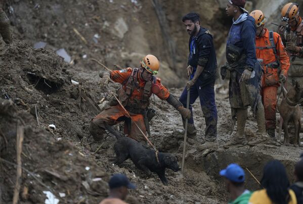 Equipes de resgate usando um cão farejador procuram vítimas em uma área afetada por deslizamentos de terra em Petrópolis, Brasil, quarta-feira, 16 de fevereiro de 2022. - Sputnik Brasil