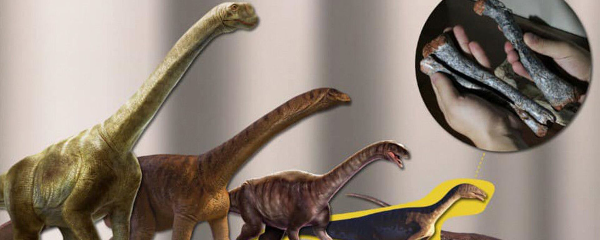 'Bisavô' dos dinossauros que viveu na América do Sul há 230 milhões de anos é encontrado no Brasil - Sputnik Brasil, 1920, 15.03.2023