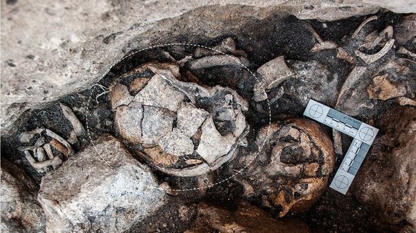 Crânio de 5.300 anos encontrado no dólmen de El Pendón, na Espanha - Sputnik Brasil
