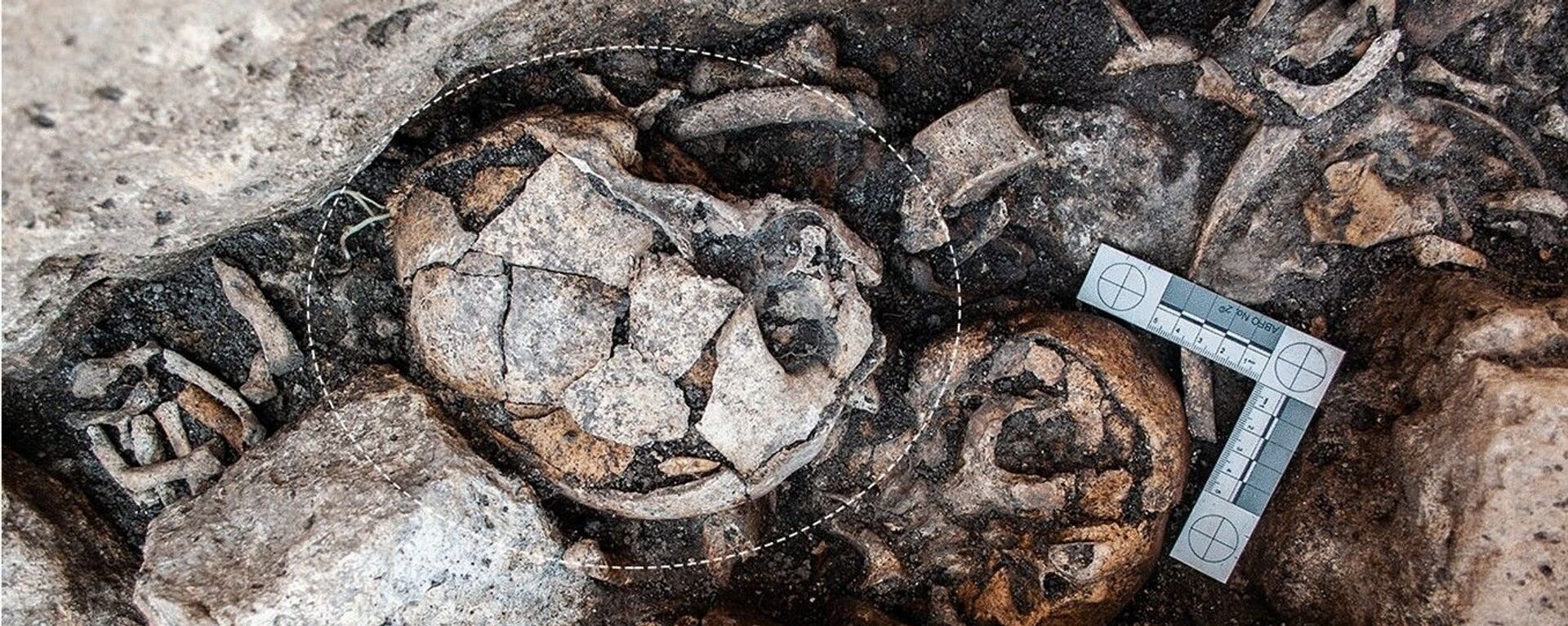 Crânio de 5.300 anos encontrado no dólmen de El Pendón, na Espanha - Sputnik Brasil, 1920, 17.02.2022