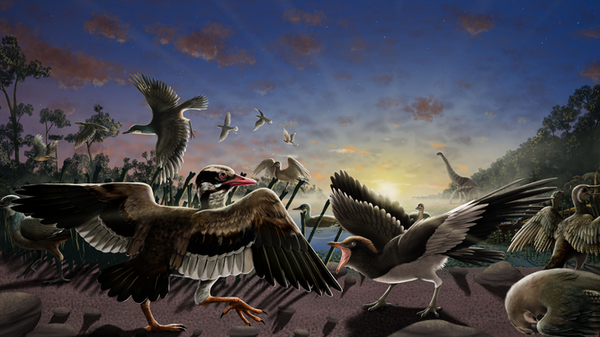 Ilustração de aves e dinossauros com representação do Brevidentavis à esquerda da imagem - Sputnik Brasil