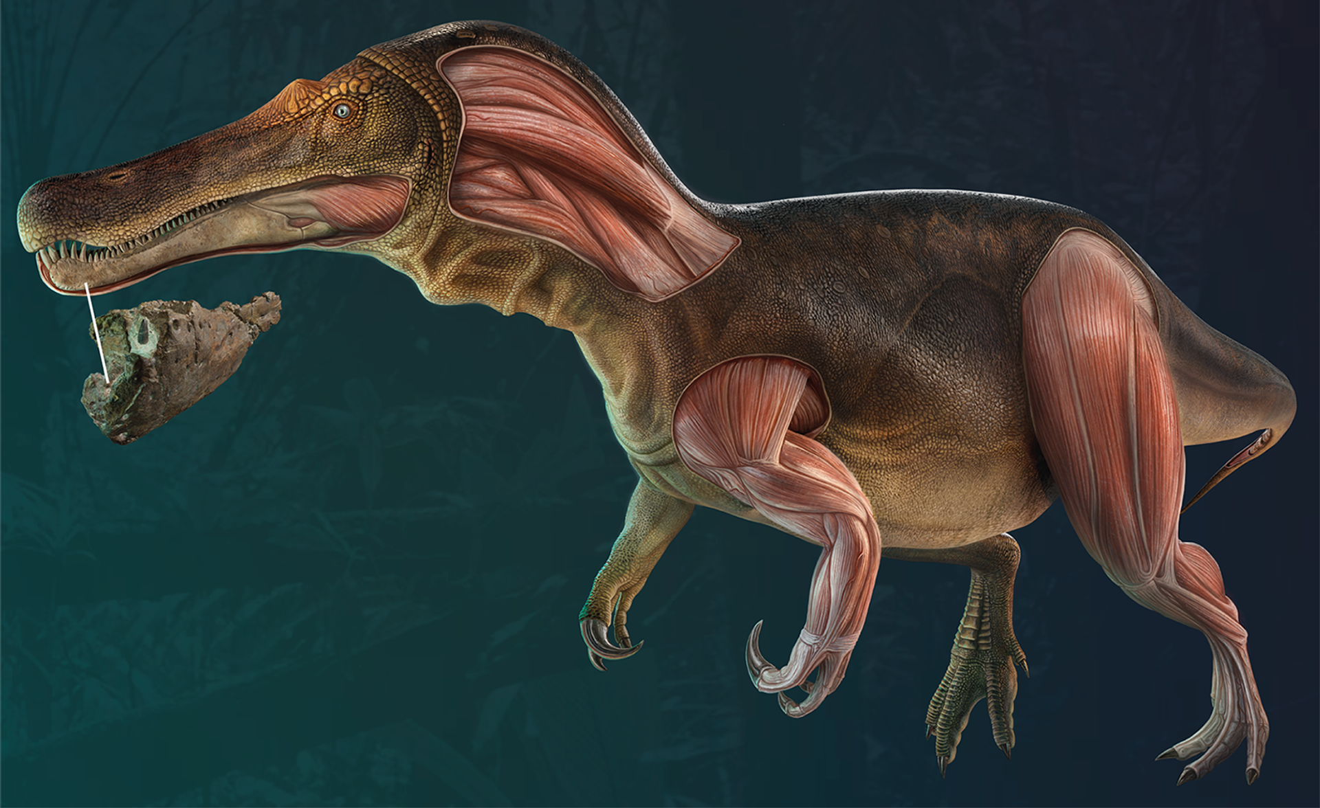 Nova espécie de dinossauro que mudava de dentes é identificada em Portugal - Sputnik Brasil, 1920, 19.02.2022
