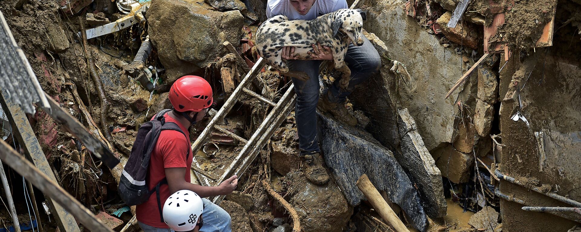 Morador salva cachorro após deslizamento de terras em Petrópolis, Brasil, 16 de fevereiro de 2022 - Sputnik Brasil, 1920, 20.02.2022
