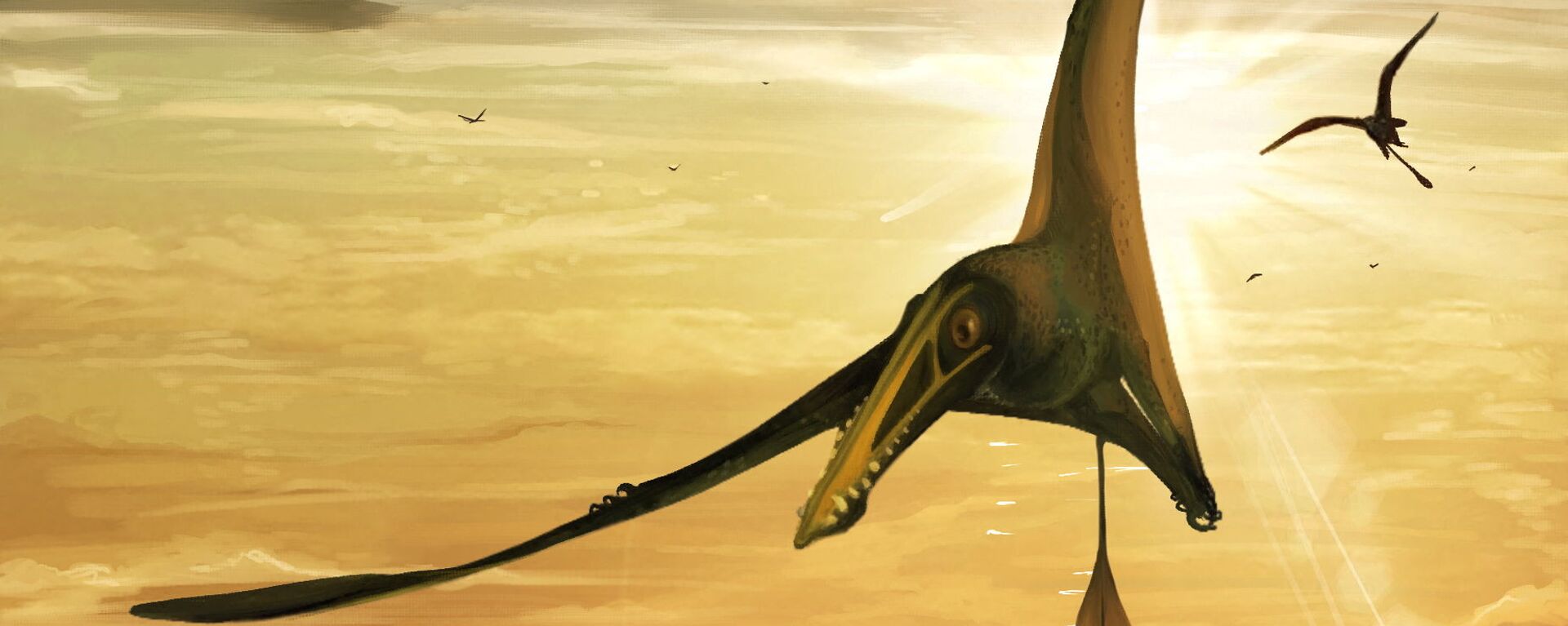 Uma ilustração mostra o recém-identificado pterossauro cujo fóssil de aproximadamente 170 milhões de anos foi encontrado em uma praia rochosa na Ilha de Skye, na Escócia - Sputnik Brasil, 1920, 23.02.2022