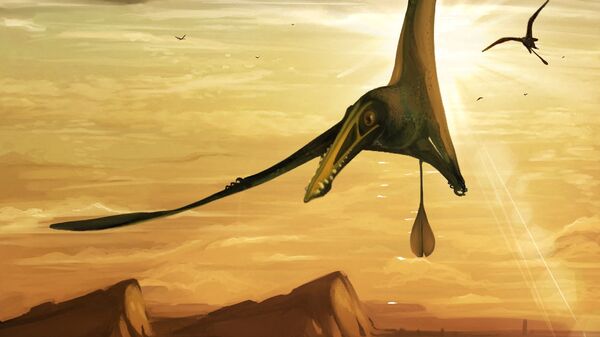 Uma ilustração mostra o recém-identificado pterossauro cujo fóssil de aproximadamente 170 milhões de anos foi encontrado em uma praia rochosa na Ilha de Skye, na Escócia - Sputnik Brasil
