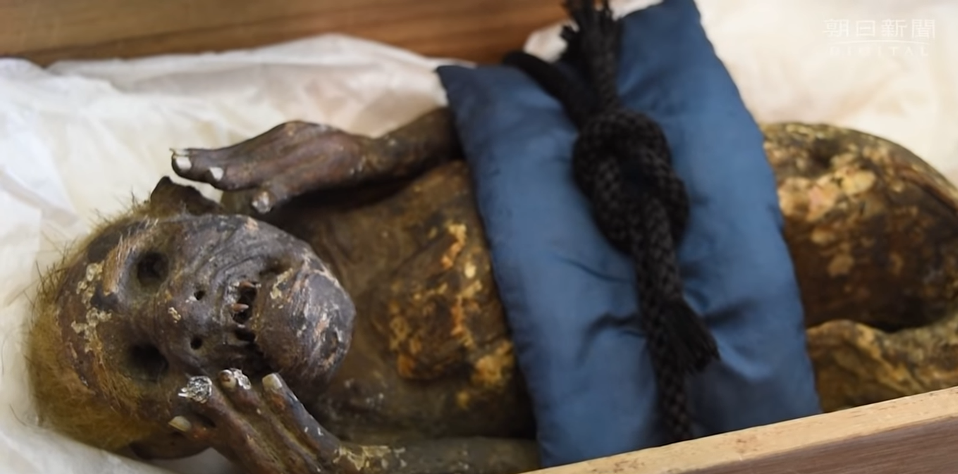 Múmia enrolada de criatura metade macaco, metade peixe, em Asakuchi, Japão - Sputnik Brasil, 1920, 04.03.2022
