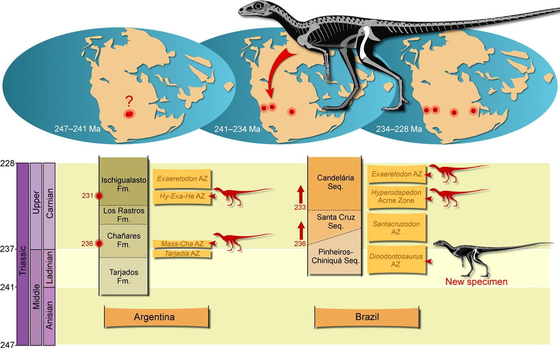 Pesquisadores da Universidade Federal de Santa Maria (UFSM) em Agudo, no estado brasileiro do Rio Grande do Sul, mostram mapa de evolução dos dinossauros - Sputnik Brasil, 1920, 21.03.2022