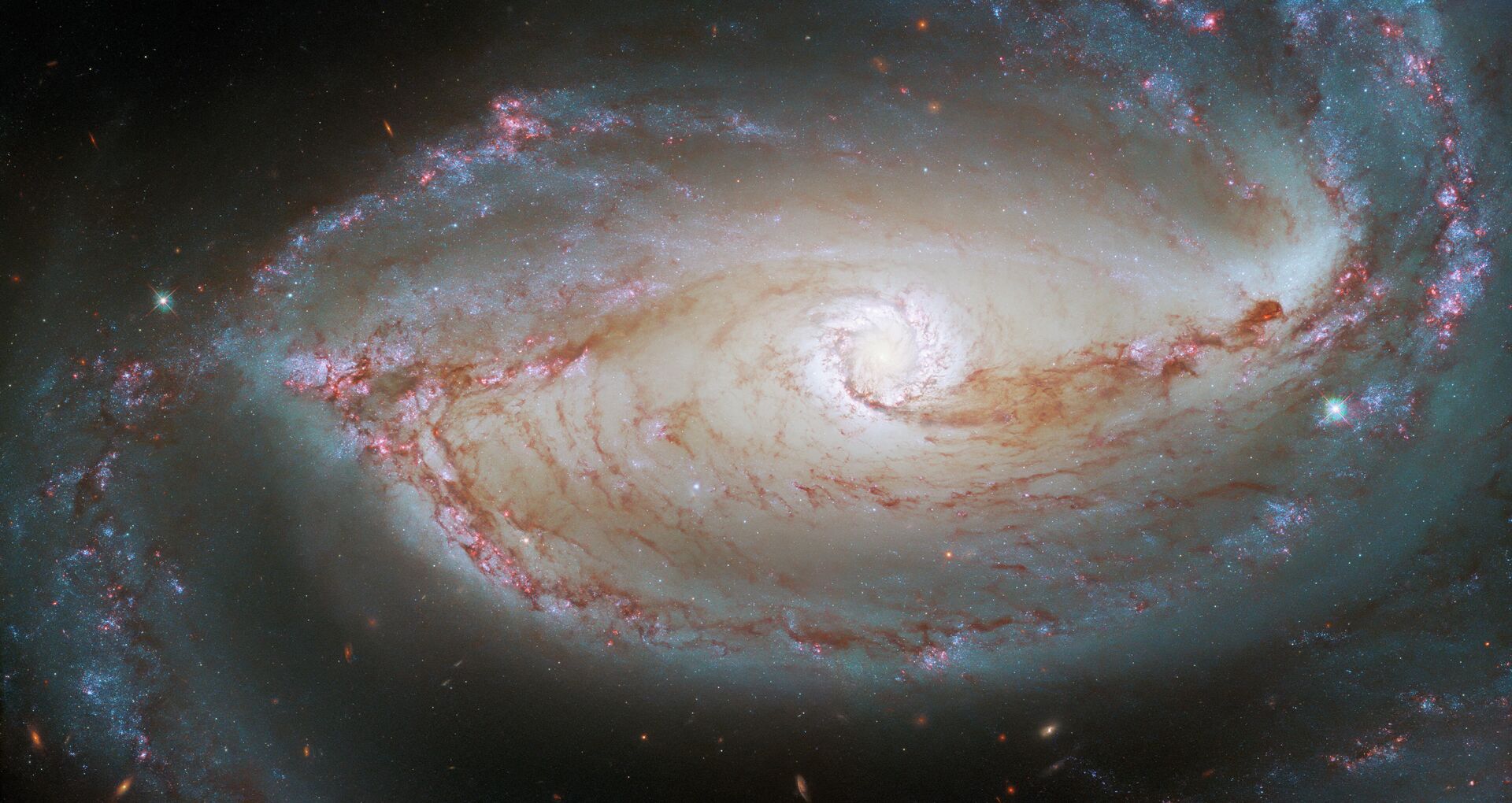 O Telescópio Espacial Hubble registrou uma foto da NGC 1097, uma galáxia espiral barrada, localizada a 48 milhões de anos-luz da Terra - Sputnik Brasil, 1920, 22.03.2022