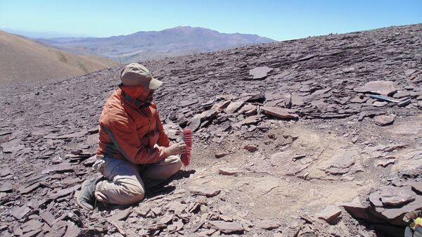 Paleontólogo trabalhando em região do deserto do Atacama onde foram encontrados fósseis de pterossauros - Sputnik Brasil