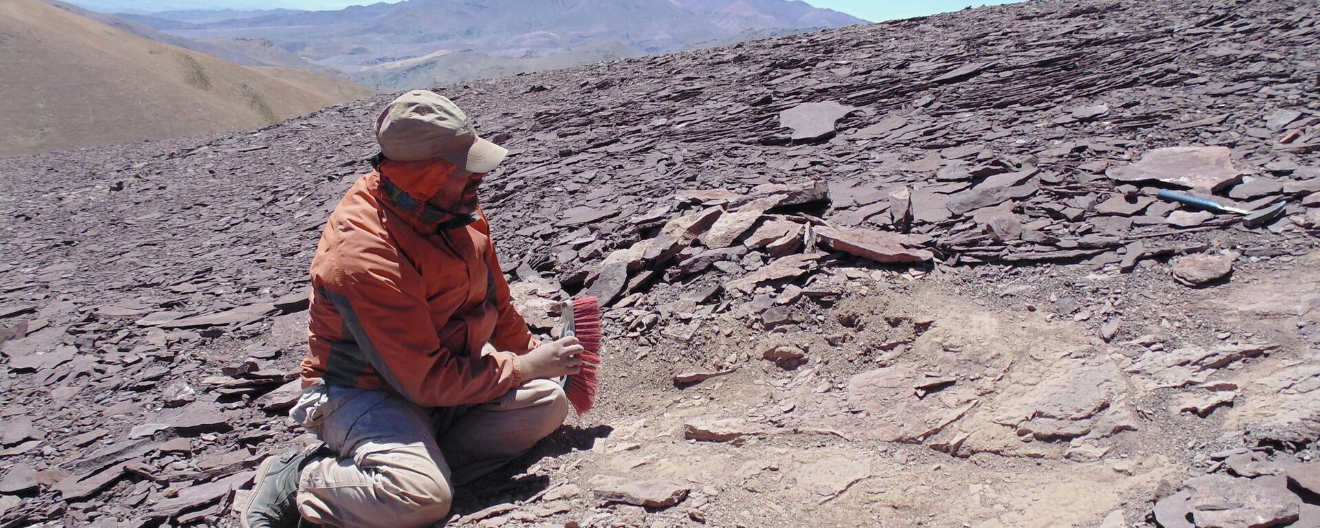 Paleontólogo trabalhando em região do deserto do Atacama onde foram encontrados fósseis de pterossauros - Sputnik Brasil, 1920, 07.04.2022