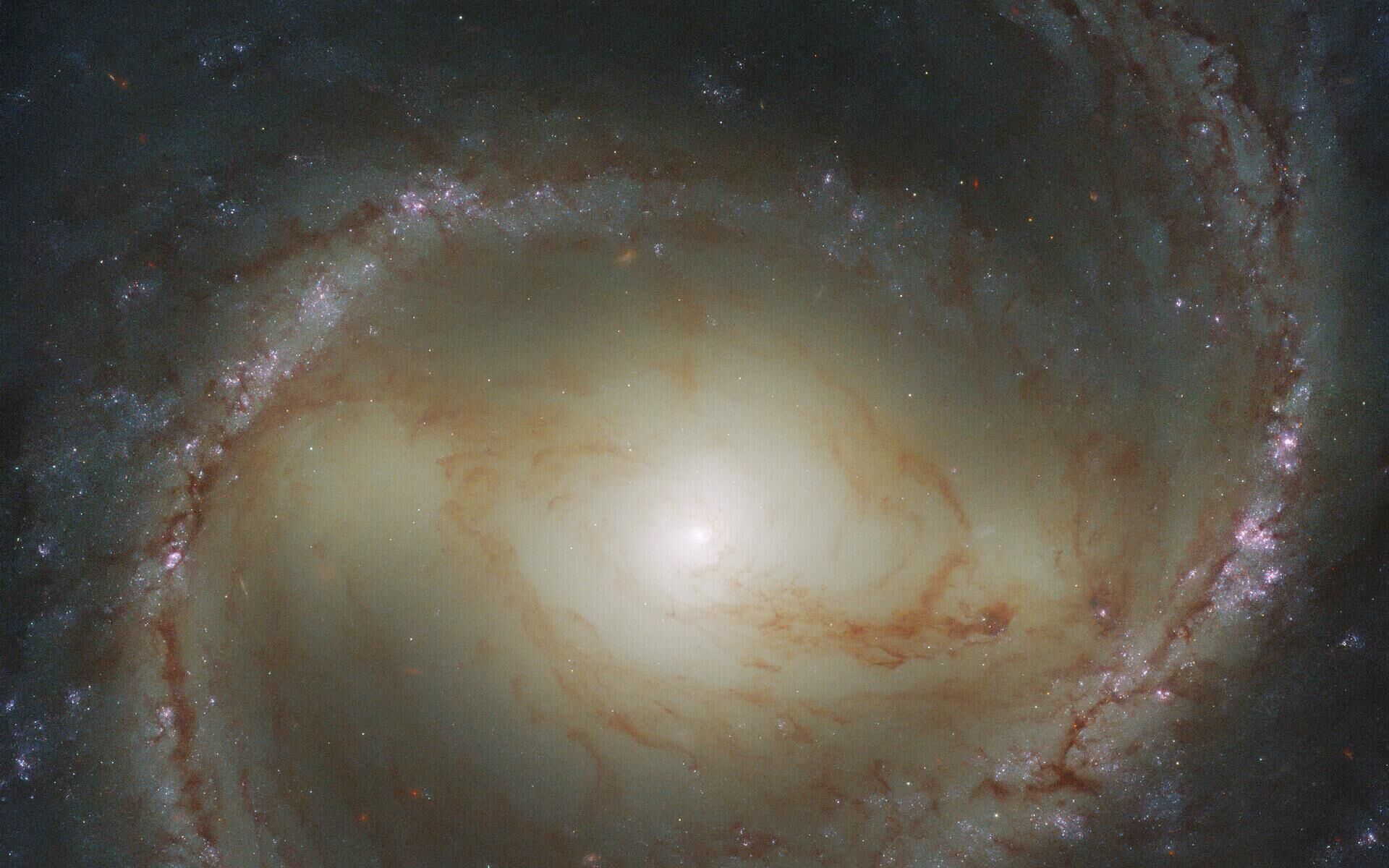 O Telescópio Espacial Hubble flagrou uma galáxia espiral barrada, conhecida como M91, localizada a aproximadamente 55 milhões de anos-luz da Terra, na constelação de Cabeleira de Berenice - Sputnik Brasil, 1920, 11.04.2022