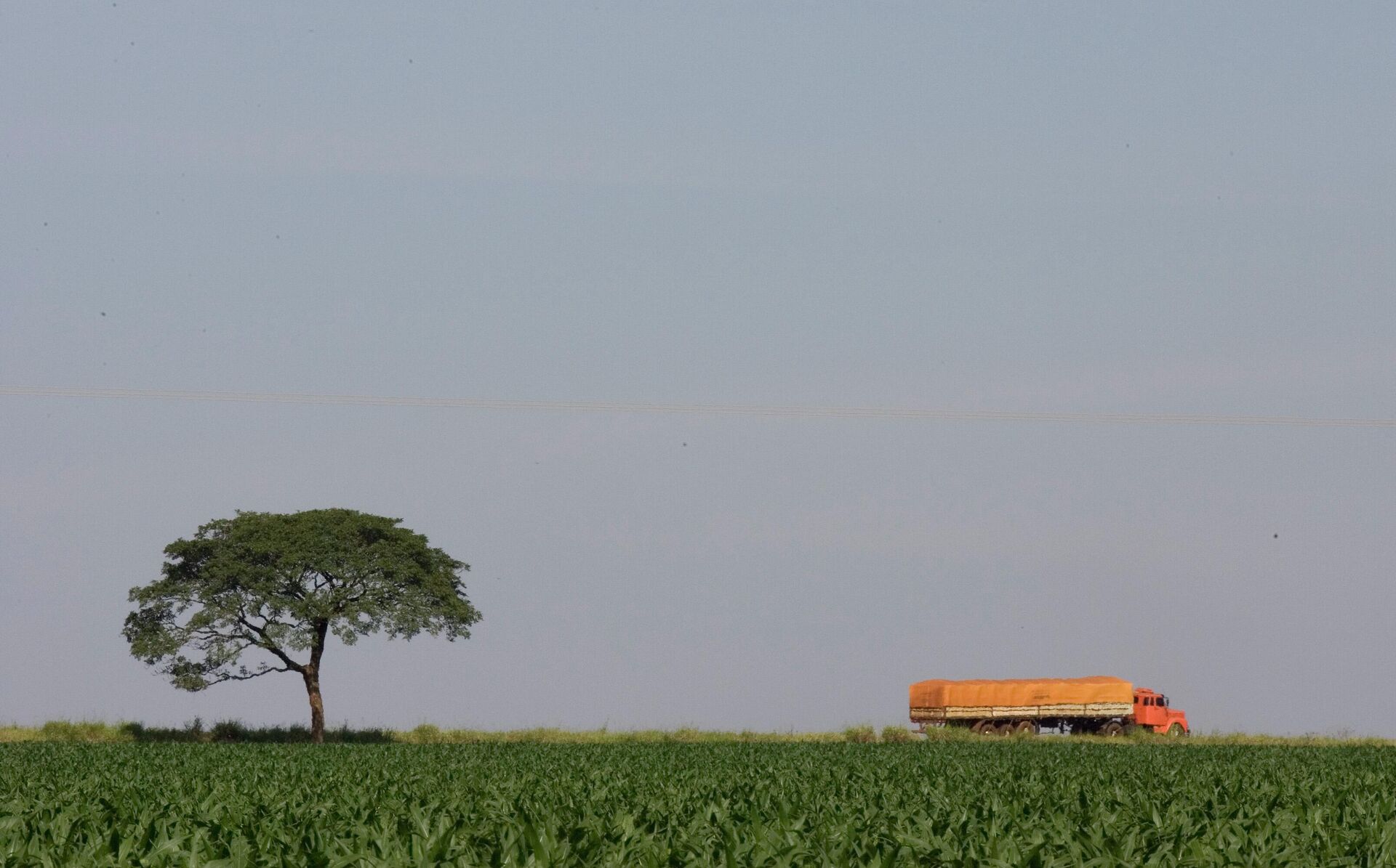 Caminhão de soja no Mato Grosso do Sul, em 18 de março de 2009. - Sputnik Brasil, 1920, 19.05.2022