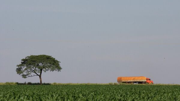 Caminhão de soja no Mato Grosso do Sul, em 18 de março de 2009. - Sputnik Brasil