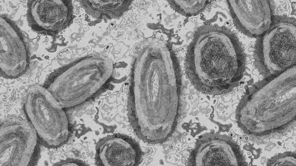 Representação abstrata do vírus causador da varíola dos macacos (imagem de referência) - Sputnik Brasil