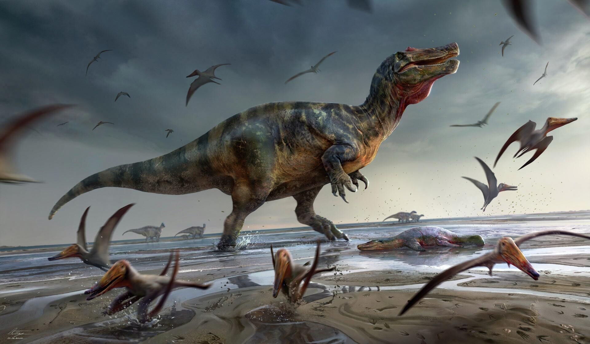 Representação artística de um dinossauro da família dos espinossaurídeos, descoberto na Ilha de Wight, considerado maior predador terrestre da Europa - Sputnik Brasil, 1920, 10.06.2022