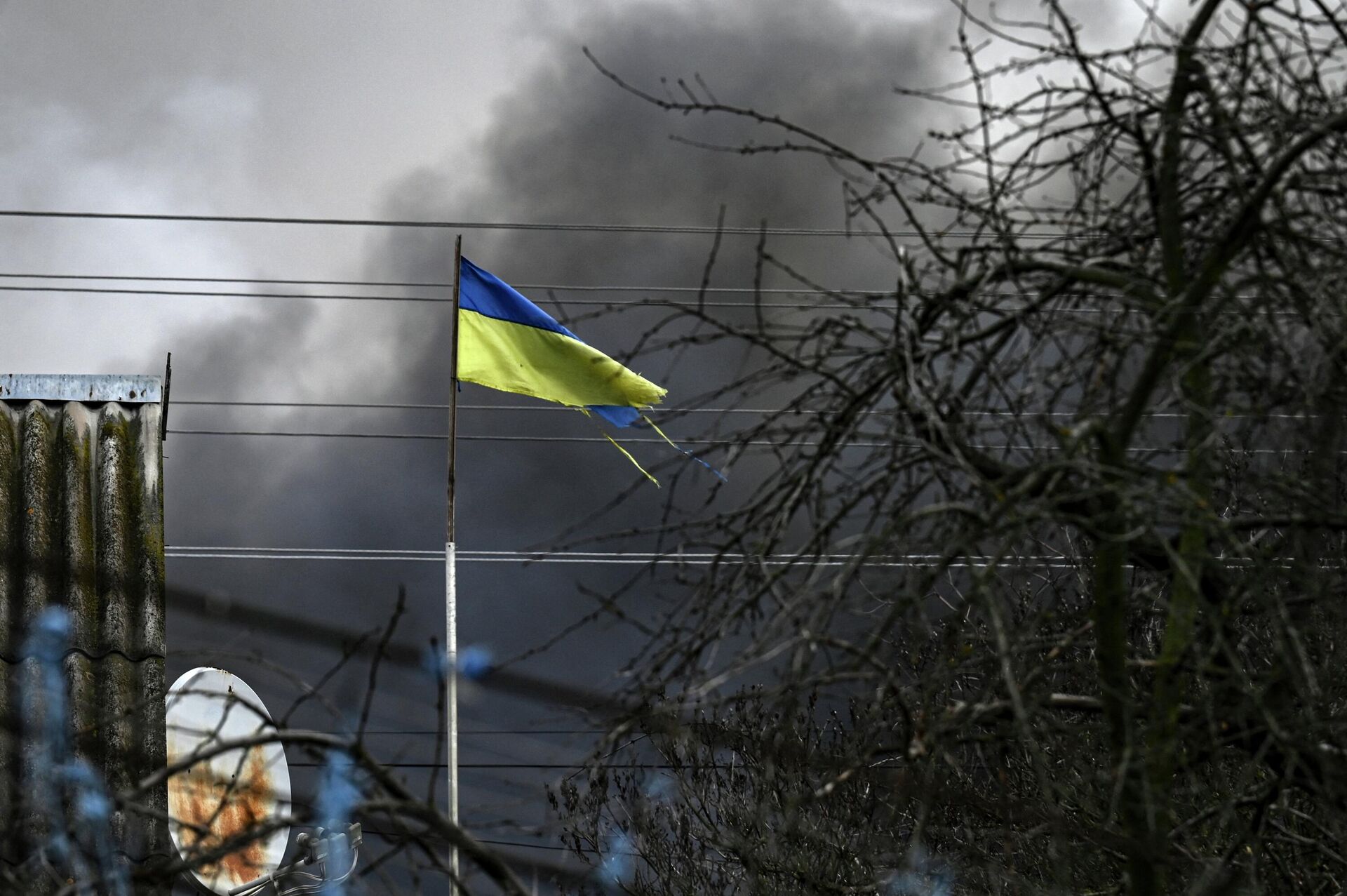Bandeira da Ucrânia ondulando em Stoyanka, a oeste de Kiev, 4 de março de 2022 - Sputnik Brasil, 1920, 13.06.2022