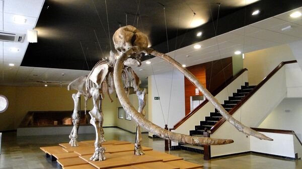 Mastodonte (imagem referencial) - Sputnik Brasil