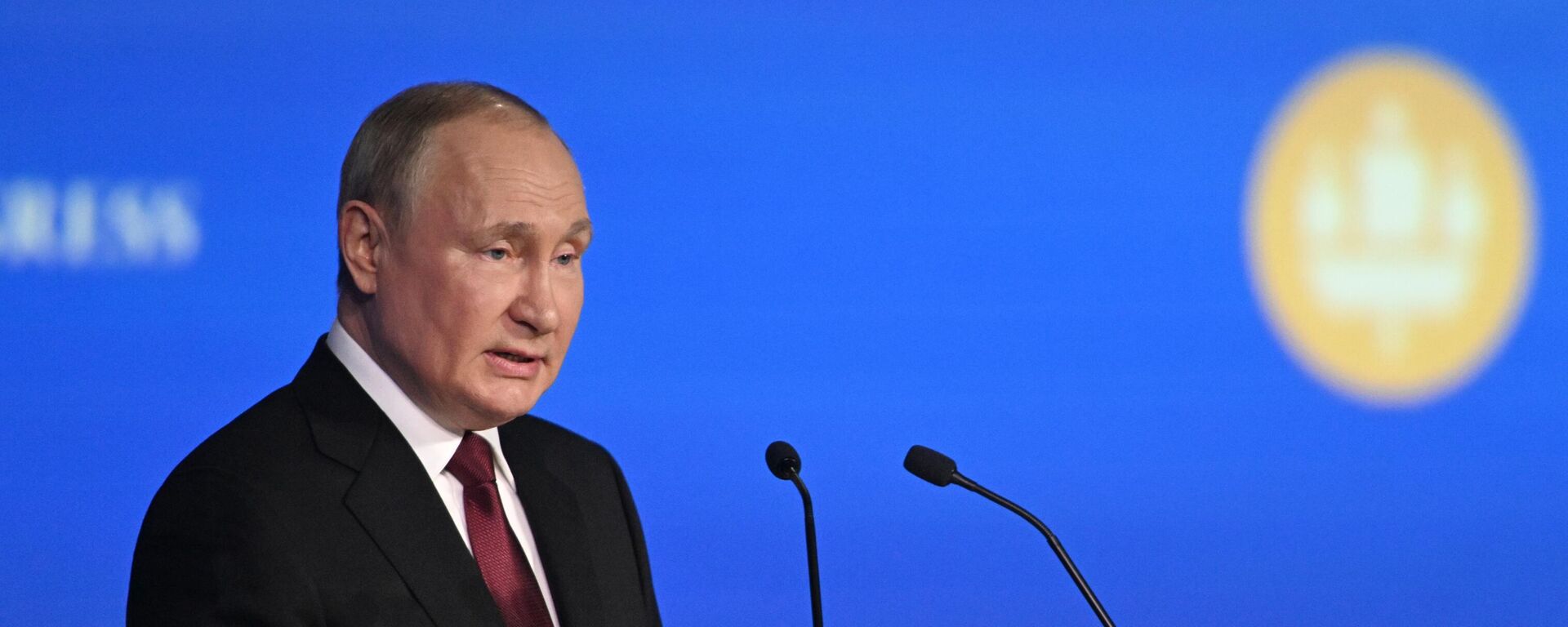 Presidente russo, Vladimir Putin durante seu discurso no XXV Fórum Econômico Internacional em São Petersburgo, Rússia, 17 de junho de 2022 - Sputnik Brasil, 1920, 17.06.2022