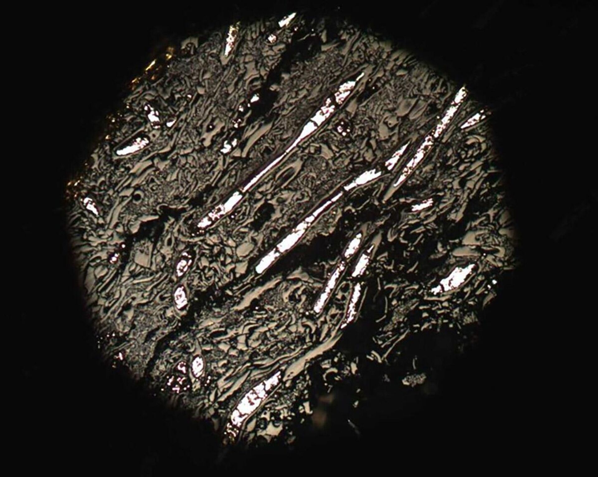 Imagem de microscópio de luz refletida do Prototaxita, fungo carbonizado de 430 milhões de anos encontrado em um furo de sondagem no País de Gales, Reino Unido. O material altamente refletor (branco) que enche os tubos maiores é a pirita, um mineral comumente encontrado com o carvão vegetal - Sputnik Brasil, 1920, 20.06.2022