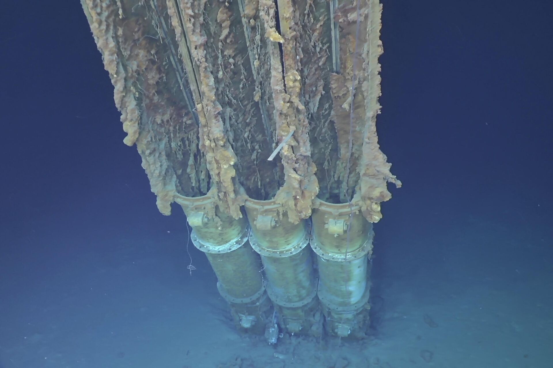 Tubos de torpedo do naufragado destróier USS Samuel B. Roberts, conhecido também como Sammy B, após ter sido descoberto ao largo das Filipinas, foto recebida em 25 de junho de 2022 - Sputnik Brasil, 1920, 28.06.2022
