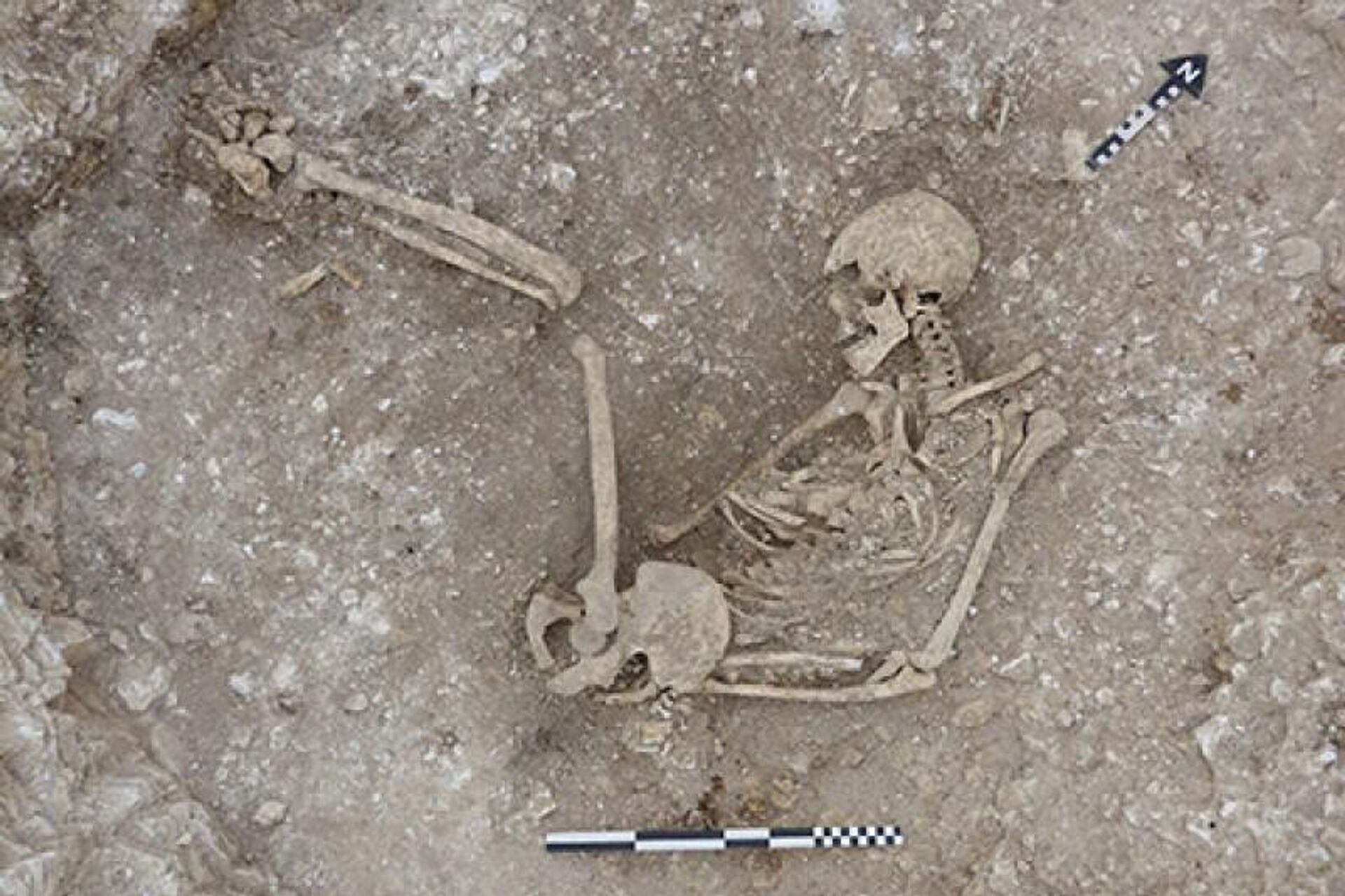 Arqueólogos da Universidade de Bournemouth descobriram restos de pessoas pré-históricas e sacrifícios animais em um assentamento da Idade do Ferro no Reino Unido - Sputnik Brasil, 1920, 04.07.2022