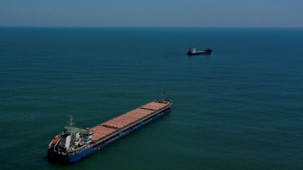 Navio de bandeira russa Zhibek Zholy ancorado em Sakarya, costa do mar Negro, Turquia, 5 de julho de 2022 - Sputnik Brasil