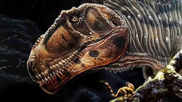 Imagem artística de grande dinossauro predador, chamado Meraxes gigas - Sputnik Brasil