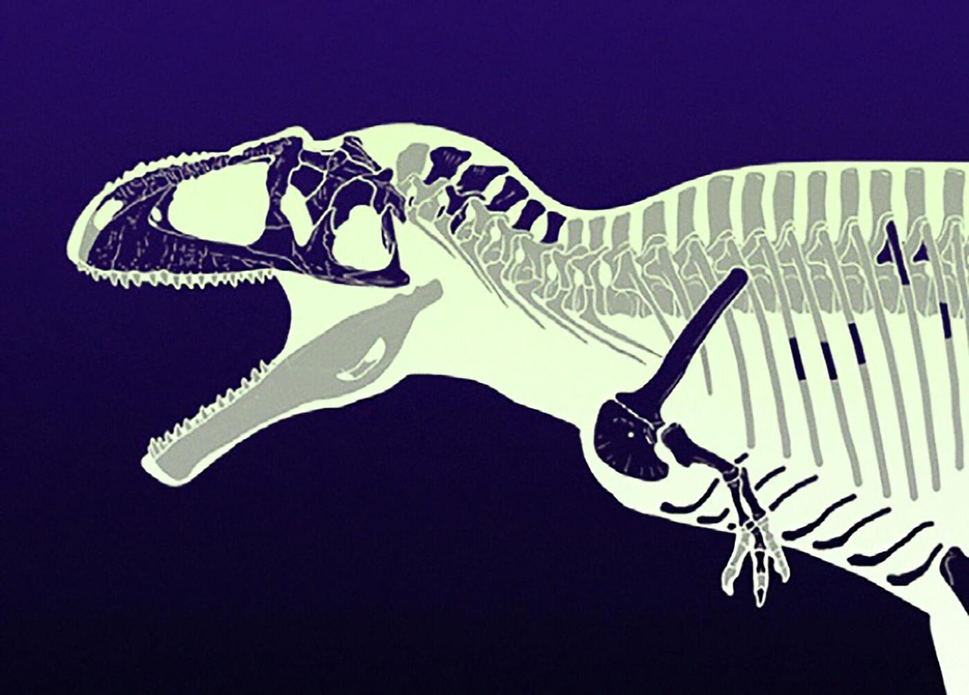 Reconstrução do esqueleto do dinossauro Meraxes gigas - Sputnik Brasil, 1920, 08.07.2022