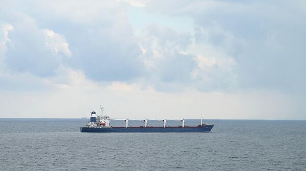 Navio de carga Razoni, com bandeira de Serra Leoa, carregando 26.000 toneladas de milho da Ucrânia, na costa noroeste de Istambul, 3 de agosto de 2022 - Sputnik Brasil