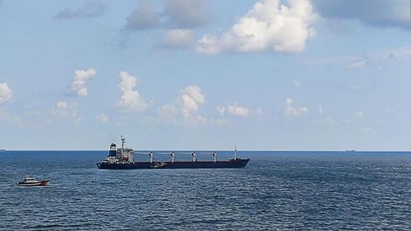 O navio de carga seca Razoni é o primeiro navio a chegar com grãos ucranianos em Istambul - Sputnik Brasil