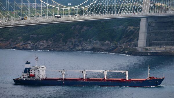 O navio cargueiro Razoni, com bandeira de Serra Leoa, navega sob a ponte Yavuz Sultan Selim após ser inspecionado por autoridades russas, ucranianas, turcas e da ONU na entrada do estreito de Bósforo em Istambul, Turquia, 3 de agosto de 2022 - Sputnik Brasil