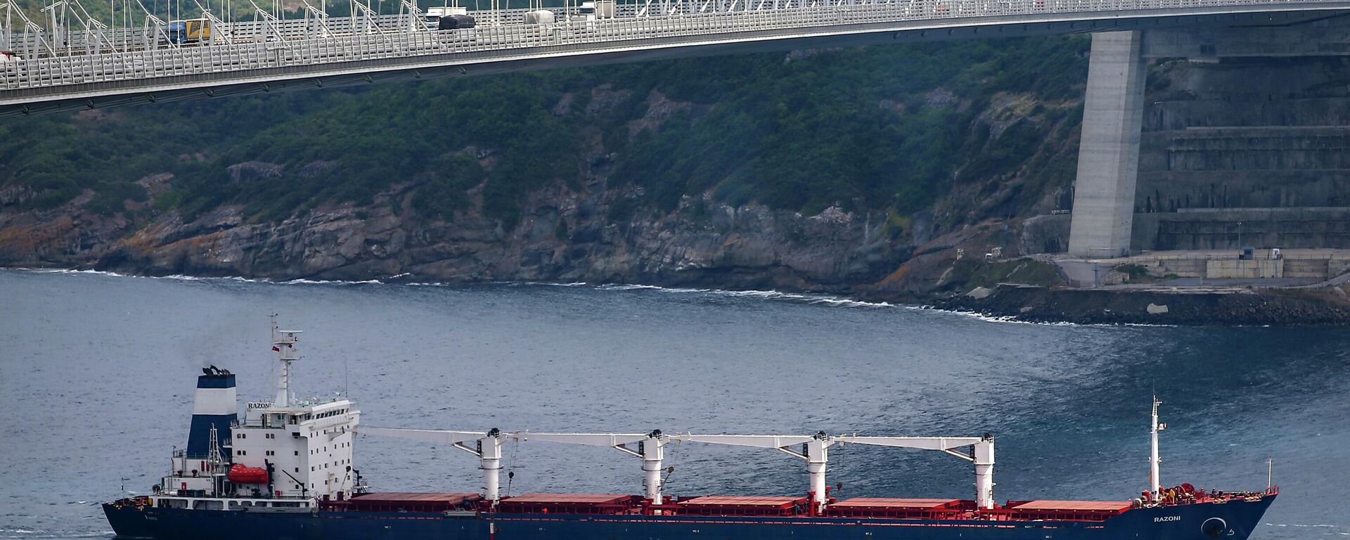 O navio cargueiro Razoni, com bandeira de Serra Leoa, navega sob a ponte Yavuz Sultan Selim após ser inspecionado por autoridades russas, ucranianas, turcas e da ONU na entrada do estreito de Bósforo em Istambul, Turquia, 3 de agosto de 2022 - Sputnik Brasil, 1920, 16.08.2022