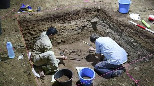 Esqueleto encontrado na Indonésia revela 1ª amputação cirúrgica há 31 mil anos - Sputnik Brasil