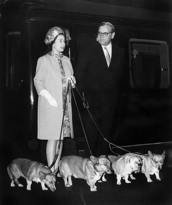 Rainha Elizabeth II na Estação de King&#x27;s Cross em Londres com seus quatro cães corgi. - Sputnik Brasil