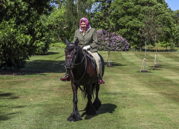 Rainha Elizabeth II monta a cavalo no parque real no Castelo de Windsor, durante feriado de 30 de maio de 2020. - Sputnik Brasil